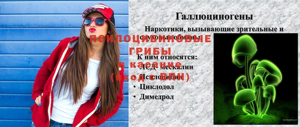 стаф Алексин